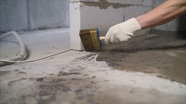 SJ Waterproofing Pros Emergency Waterproofing coverage map for Lynn, IN and surrounding area